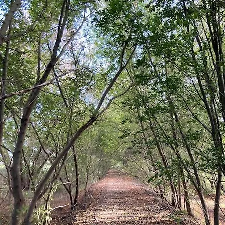 Gemuetliches Holzhaus Am Warin